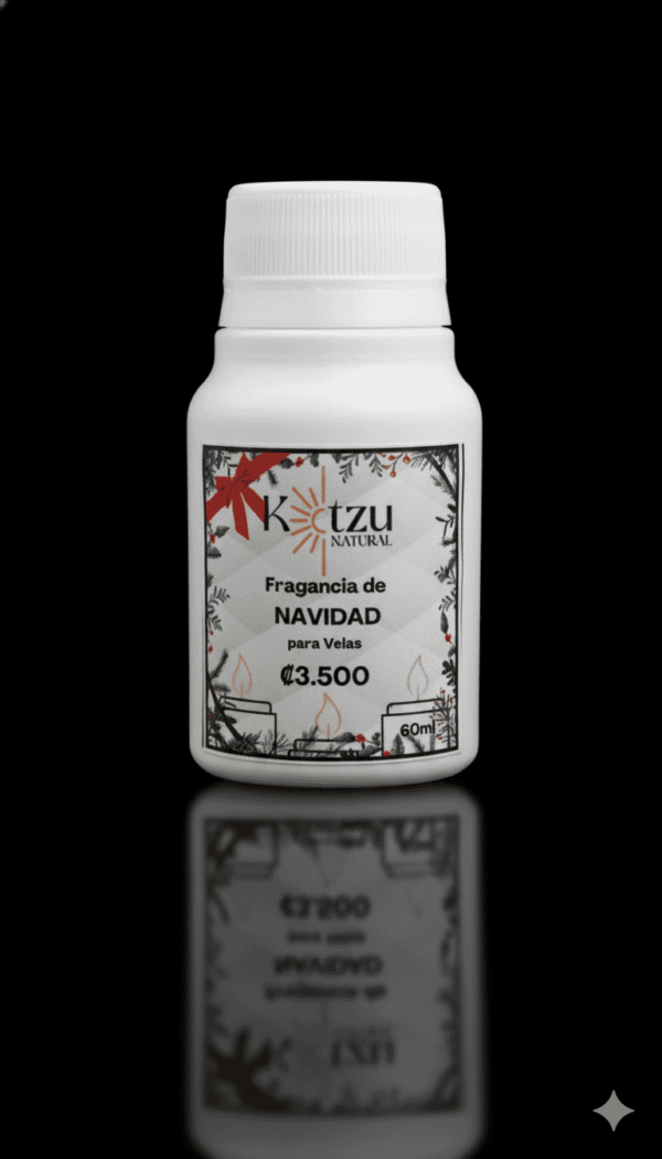 1763496411576_1 Fragancia de Navidad - 60 ml