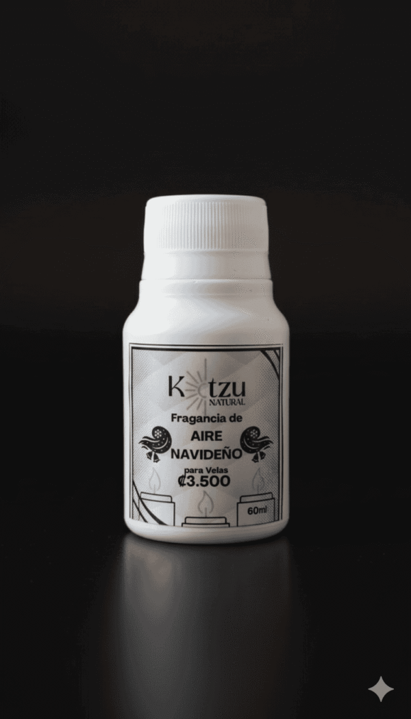 1763493489736_1 Fragancia de Aires Navideños - 60 ml